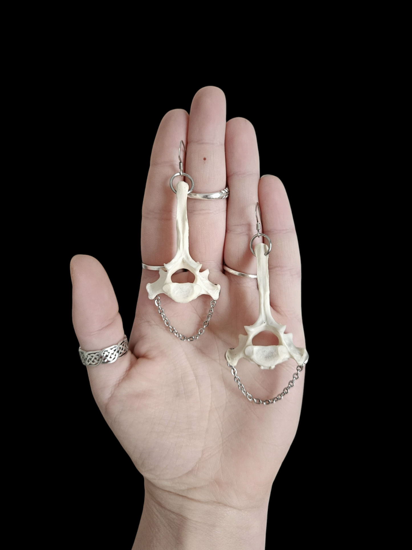 Fox vertebrae earrings
