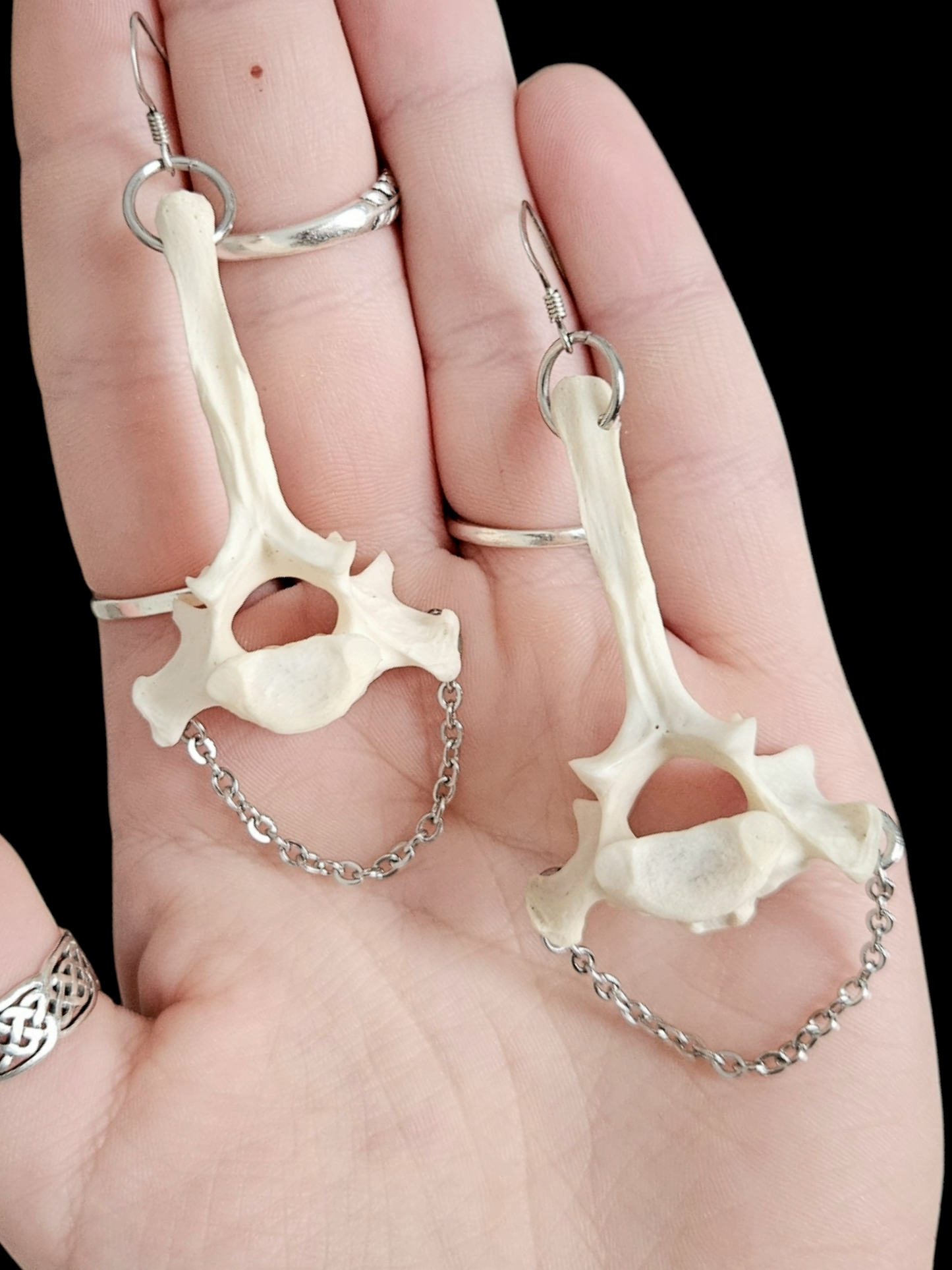 Fox vertebrae earrings