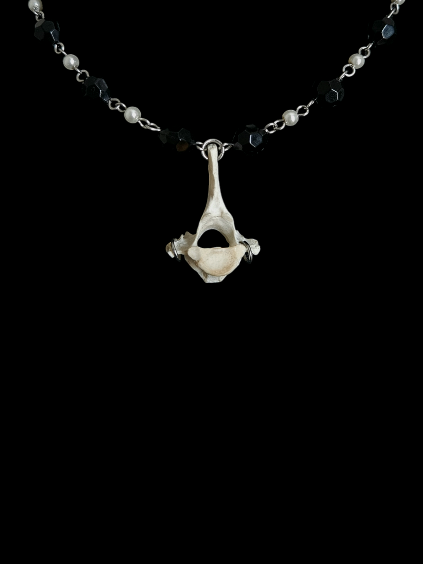 Fox vertebrae necklace