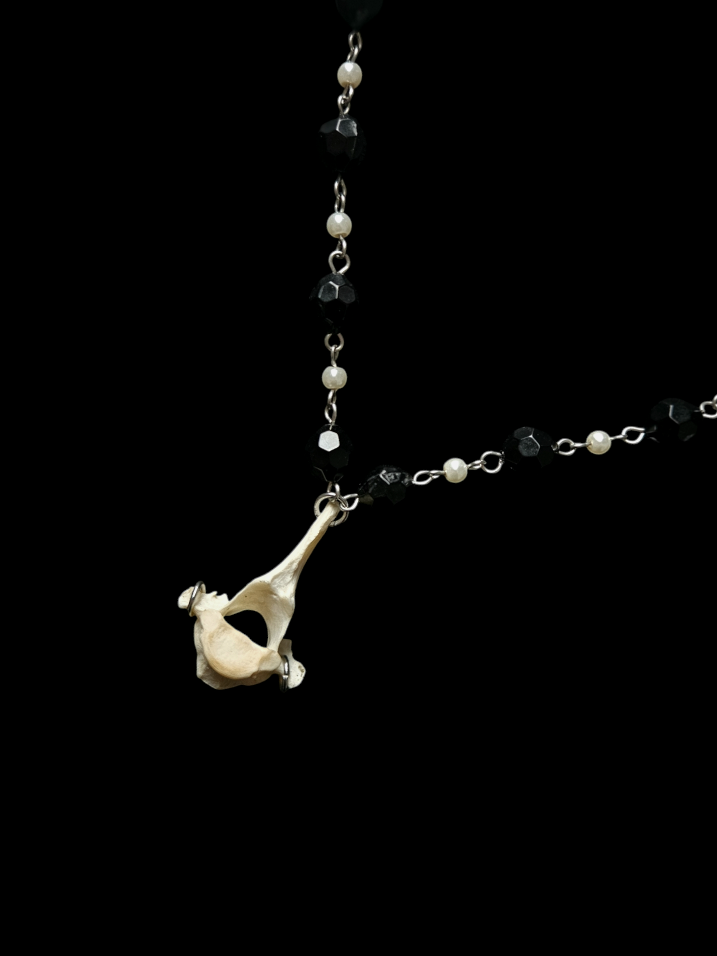 Fox vertebrae necklace