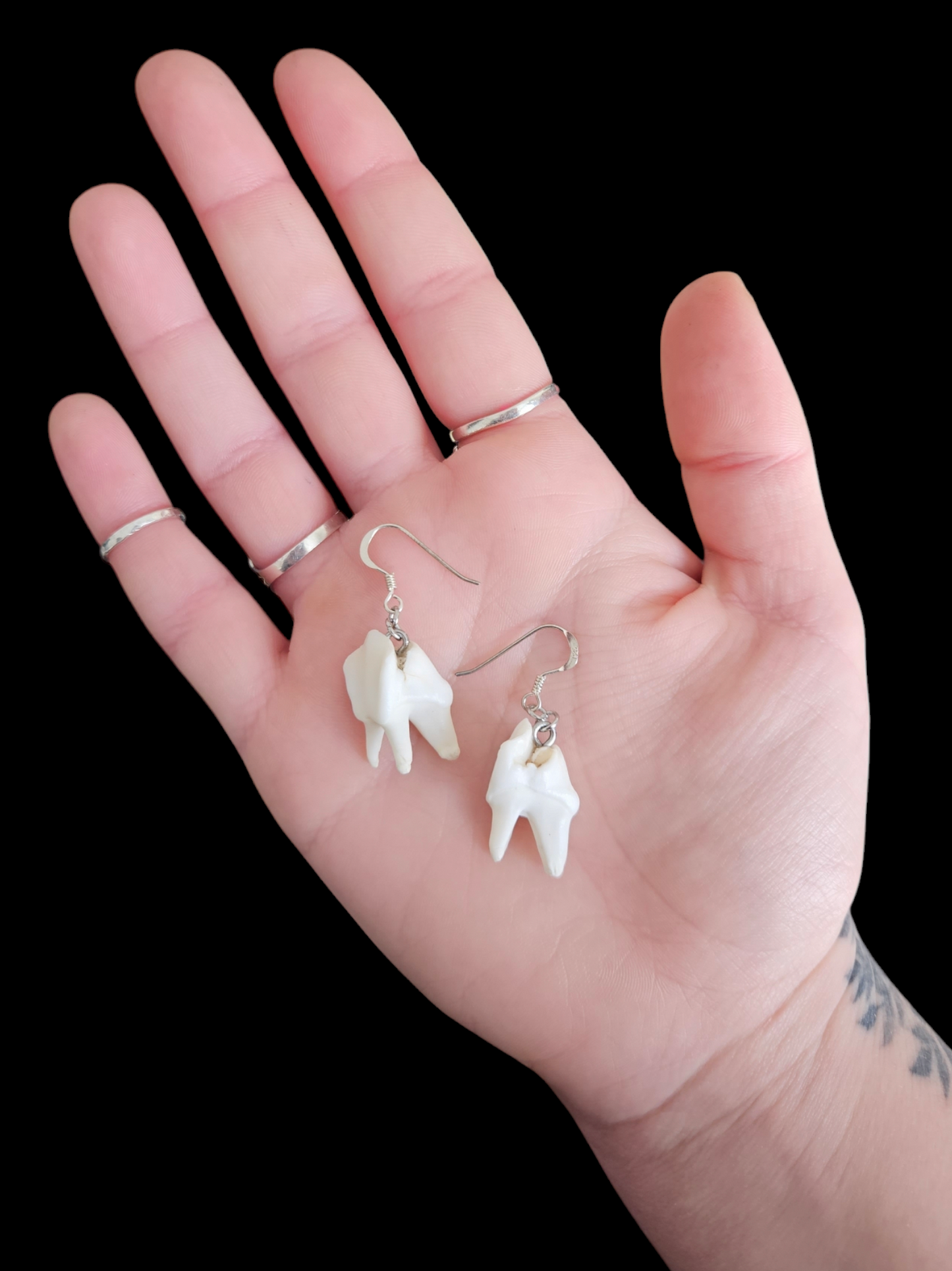 Simple deer tooth earrings
