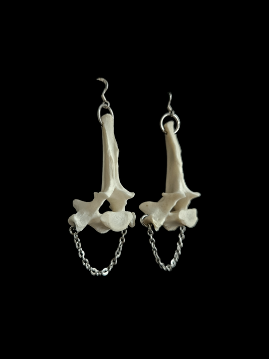 Fox vertebrae earrings