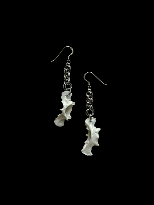 Atlas bone & chain maile earrings