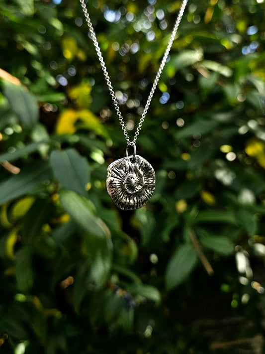 Ammonite pendant, 99.9 Fine silver (pendant only)